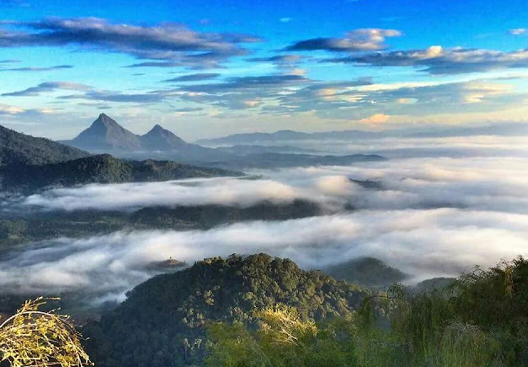 gunung pulut